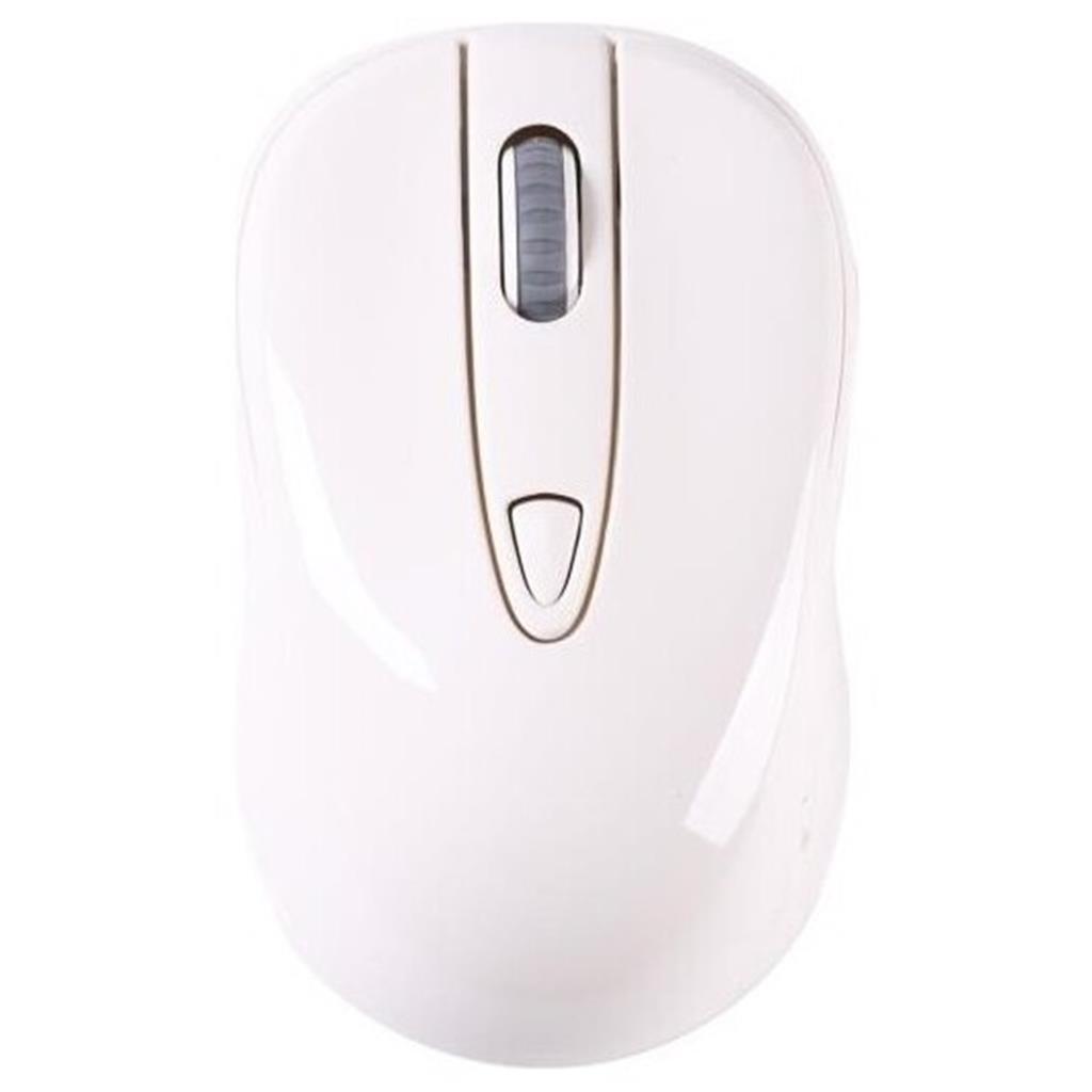 Torima TM-11 Ergonomik Kablosuz Optik Mouse