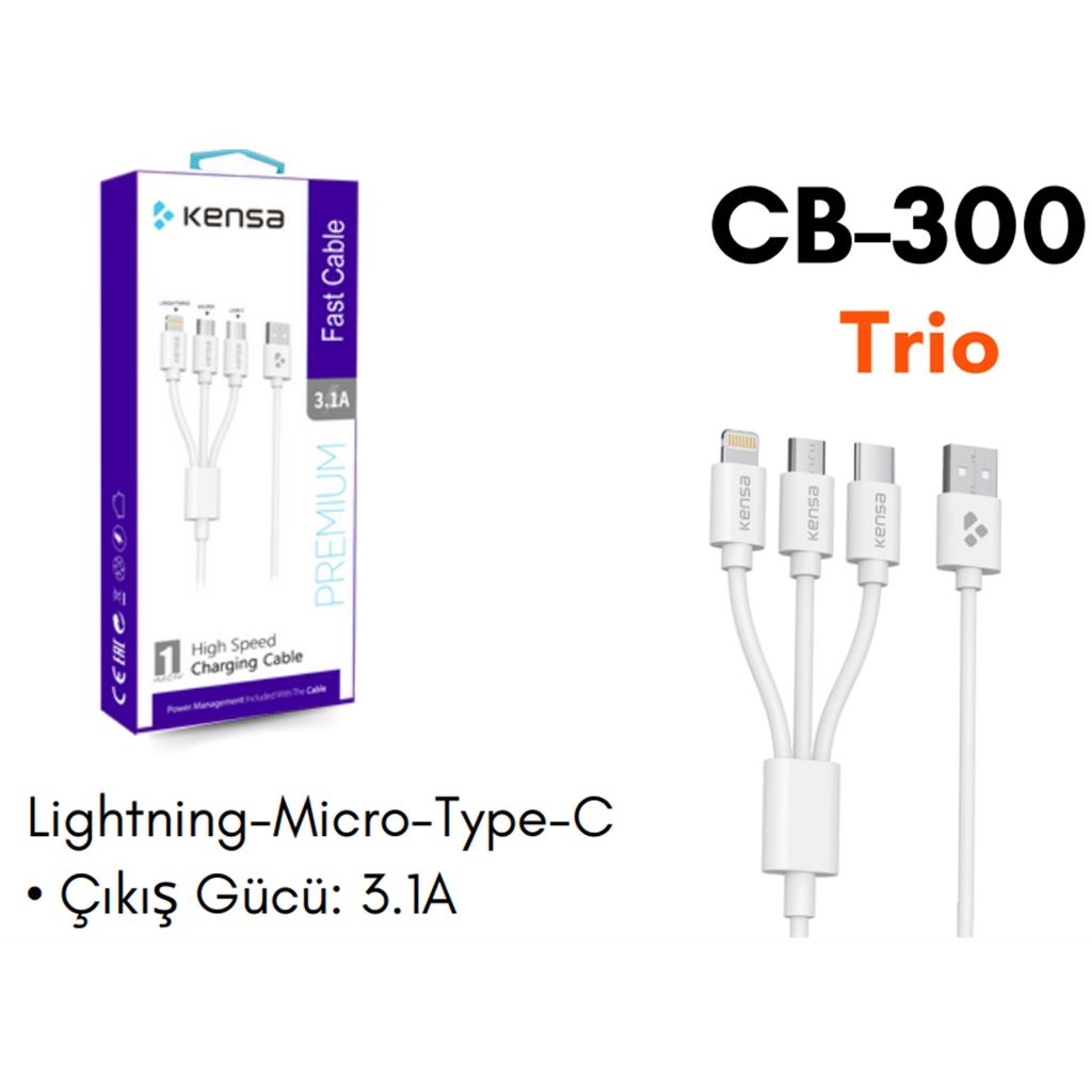 Lightning-Micro-Type-C Hızlı Kablo Şarj Kablosu  3.1A